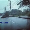 На Японию обрушился тайфун "Трами" (видео)