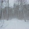 Погода на 22 января: в Украине ударят морозы
