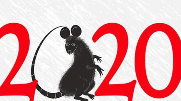 Фото: год белой крысы 2020