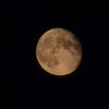 Лунный гороскоп на 3 октября для всех знаков зодиака