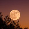 Лунный календарь на 8 октября: что категорически нельзя делать