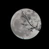 Лунный гороскоп на 10 октября для всех знаков зодиака