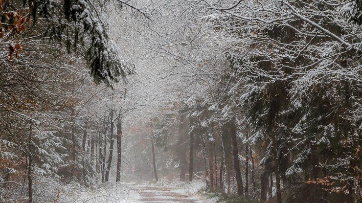 Надвигается зимняя буря / Фото: newstula.ru