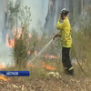 Пожежі в Австралії знищили близько мільйони гектарів землі