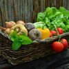 Украина побила прошлогодний рекорд по производству овощей