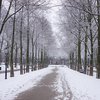Погода в Украине: синоптики прогнозируют резкое похолодание