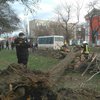 В Николаеве дерево расплющило маршрутку: пострадали дети (фото)