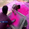 В Індії готуються до кольорового фестивалю Холі