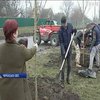 Алея з сакур у Кам'янці стане окрасою України - Сергій Рудик