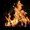 Крупный пожар охватил парк в центре Запорожья (видео)