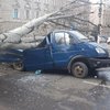 В центре Николаева дерево раздавило "Газель" (фото)