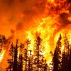 Пожар набирает обороты: на Закарпатье загорелся лес (фото, видео)