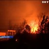 Масштабна пожежа накоїла лиха у Південній Кореї