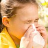 Аллергия на тополиный пух: симптомы и методы "спасения"