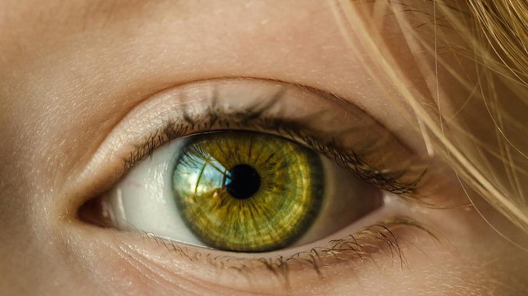 Почему отекают глаза Фото: Pixabay