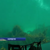 Ресторан під водою пригощатиме туристів дарами моря