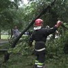 Ураган под Херсоном: ветер повалил 50 деревьев в селе, повреждена школа