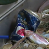 Італійські рибалки привозять з моря бляшанки та пластикові пляшки