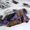 День альпинизма: жуткие фото "кладбища" Эвереста 
