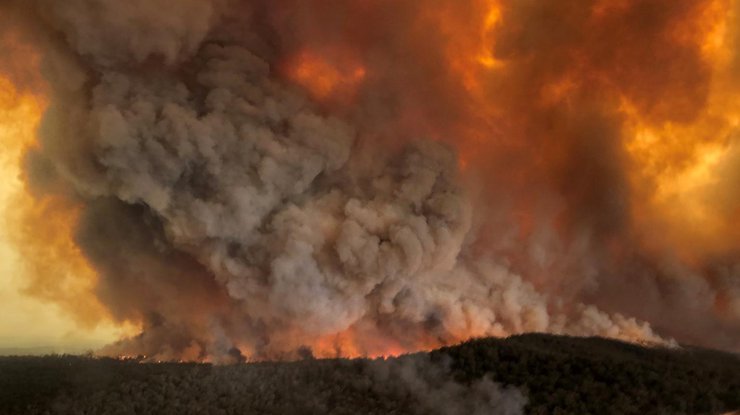 Фото: пожары в Австралии / zdf.de