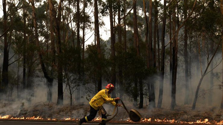 Фото: пожары в Австралии / Reuters