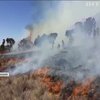 У Африці на горі Кіліманджаро не вщухає масштабна лісова пожежа