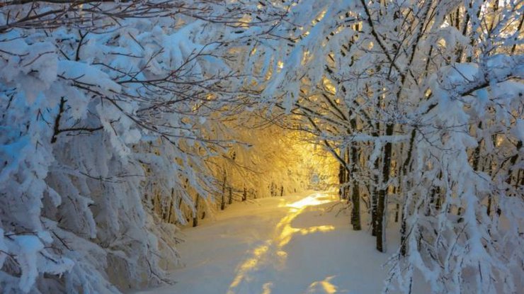 Фото: зима / s-zametki.ru