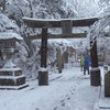 Японию "завалило" снегом: отменены 54 авиарейса (фото)