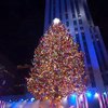У Нью-Йорку вперше запалили новорічну ялинку без глядачів