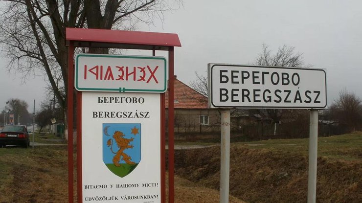 Венгерские депутаты Европарламента выпустили заявление по поводу ситуации в Закарпатье