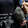 "Мое тело, мой выбор": в Аргентине разрешили аборты