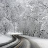 На Киев надвигается снегопад 