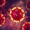 Первых два случая коронавируса подтвердили в Черногории