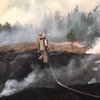 В Житомирской области около полусотни лесных пожаров - ГСЧС