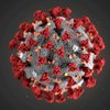 Австралия начинает испытания вакцины от коронавируса 