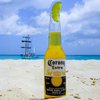 Производство пива Corona временно прекратят