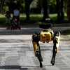 В Сингапуре соблюдение дистанции в парке контролирует робот (видео)