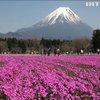Японія закрила Фудзіяму для альпіністів