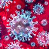 "Убийцы" коронавируса: какой иммунитет не подвергается инфицированию
