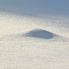 На Оболони выпал снег (фото) 