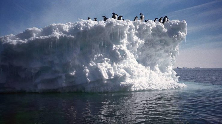 Антарктида/ Фото: tass.ru