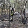 Лесные пожары в Луганской области удалось локализовать (видео)