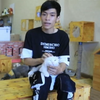 У столиці В'єтнаму відкрилося кафе-приют для котиків