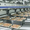 Цена на яйца растет из-за давления НАБУ на агрохолдинги - Ассоциация поставщиков торговых сетей