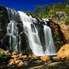 Водопады в Австралии начали течь снизу вверх (видео)