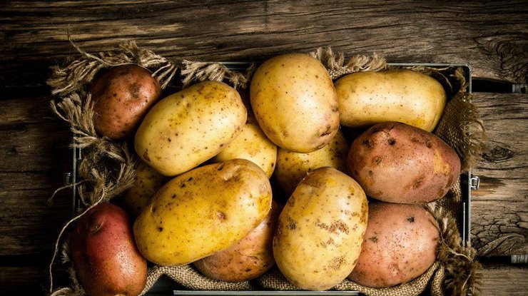 В Британии прошел конкурс на самое оригинальное фото картофеля/ Фото: botanichka.ru