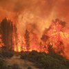 Лесные пожары в Калифорнии вызвали жуткое огненное торнадо (видео)