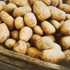 Украина запретит импорт картофеля из России