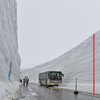 Снегопад в Японии "убивает" жителей
