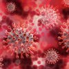 Африканская страна оказалась в плену у десятков штаммов коронавируса